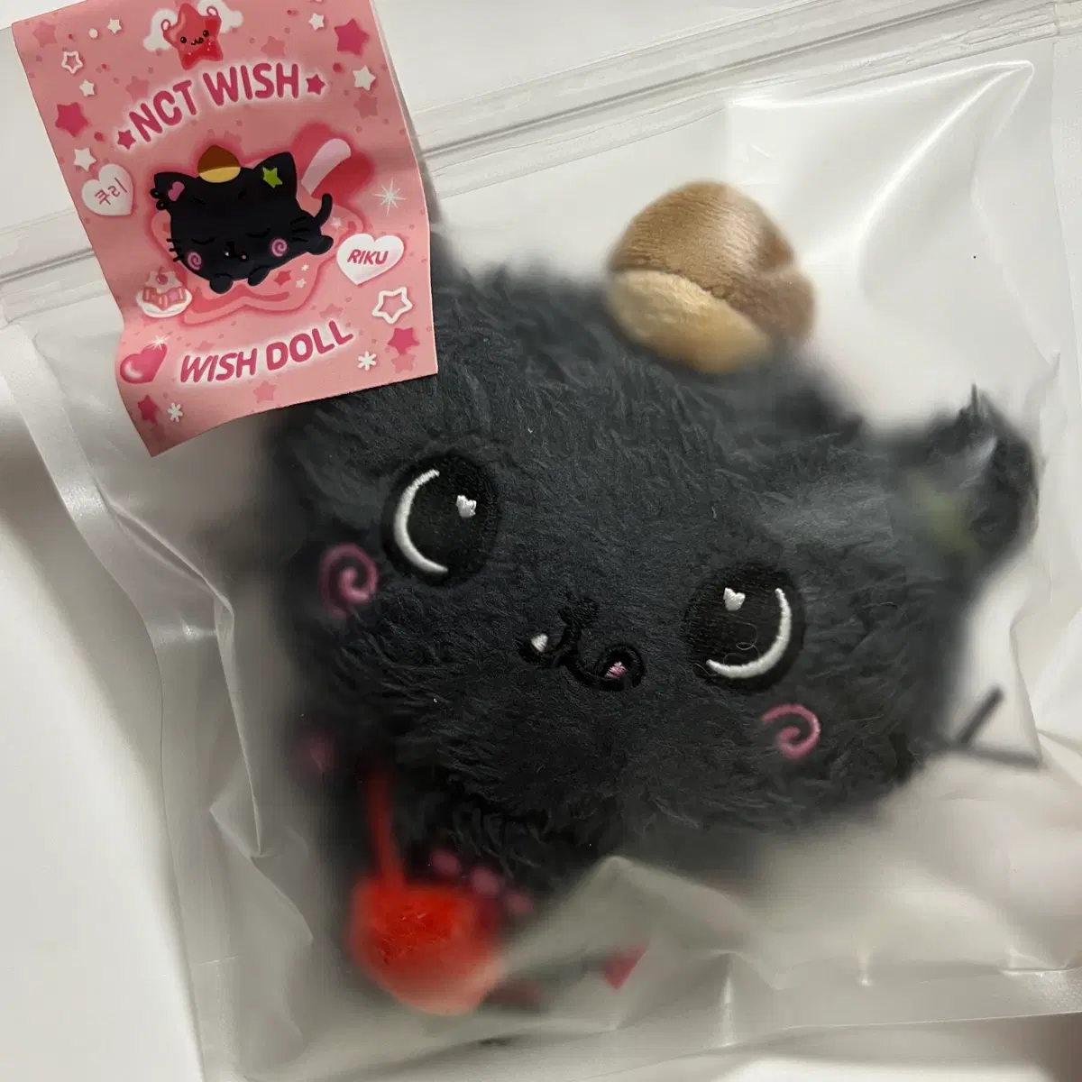 NCT WISH Riku Kuri doll steady first edition md on Bunjang Global