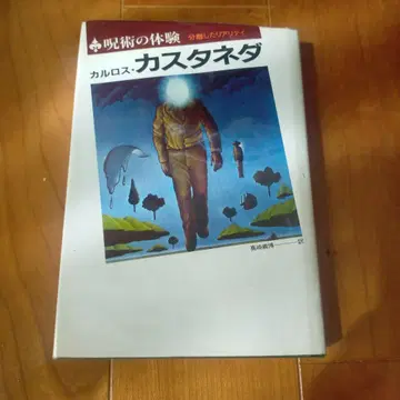 주술 체험 카를로스 카스타네다