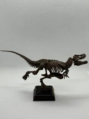 네이처 테크니컬러 고생물 티라노사우루스 (짙은 갈색 화석색)