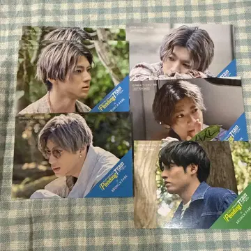 펜트레 카드 일괄 야마다 유키 아카소 에이지