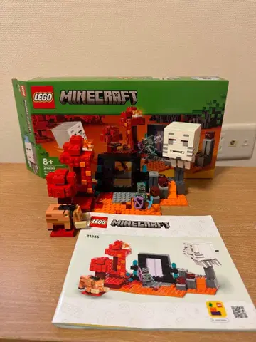 레고 LEGO 마인크래프트 Minecraft 21255