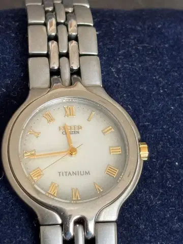 작동 시티즌 CITIZEN EXCEED TITANIUM 3330