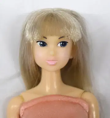 세키구치 momokoDOLL 선택 가능한 momoko