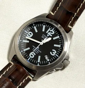 시티즌 프로마스터 랜드 PMD56-2863 가죽 벨트