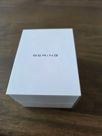 가격 인하 BERING 심플 손목시계 남성용