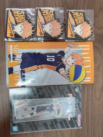 하이큐 제일복권 최강의 도전자로 히나타 쇼요