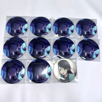 프로세카 호시노 이치카 그리캔 vol.50B 49B