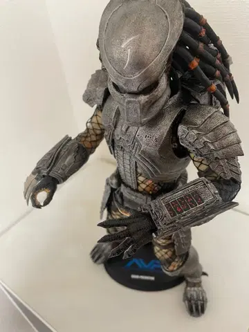 핫토이즈 스카 프레데터