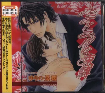 초회반 유리노 사쿠라 카테드랄 속박