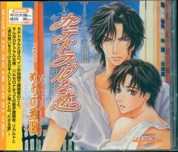 초회반 유리노 사쿠라 카테드랄 연애