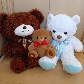 곰 봉제 인형 세트 3마리