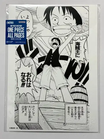 원피스 베이스샵 한정판 ONE PIECE ALL PAGES 루피