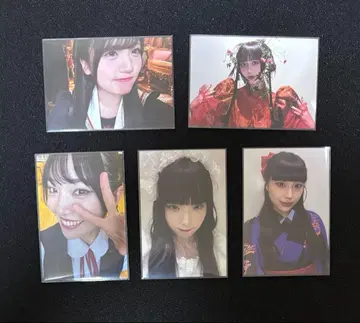 팬텀 시타 1st LIVE [하이네] 구매 혜택 트레이딩 카드