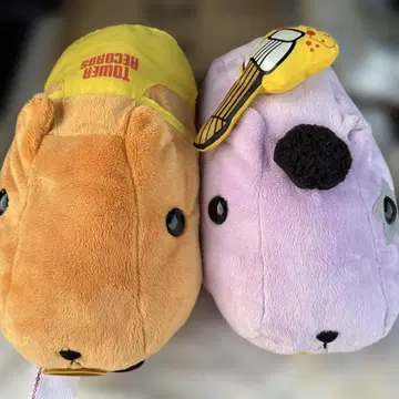 택 포함 타워 레코드 카피바라 씨 슈퍼 DX 봉제 인형 컴프 세트