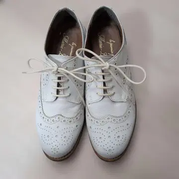 마리 루이즈 윙팁 가죽 슈즈