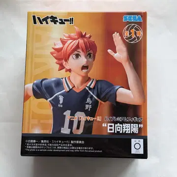 하이큐 히나타 쇼요 피규어