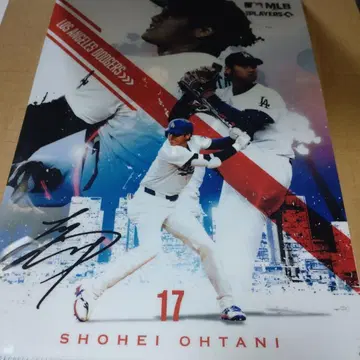 MLB 클리어 파일 컬렉션 오타니 쇼헤이