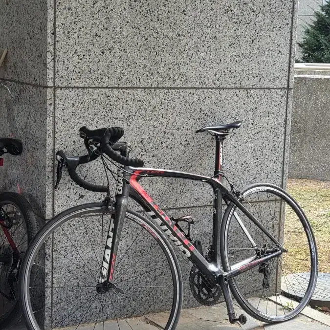 자이언트 풀카본 tcr 티씨알
