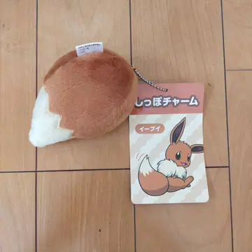 포켓몬 포켓몬 센터 이브이의 꼬리 참