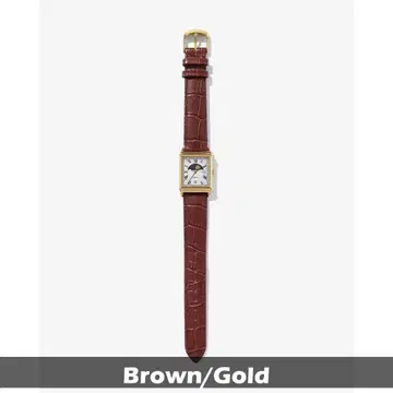 Noah x Timex 문 페이즈 브라운/골드2