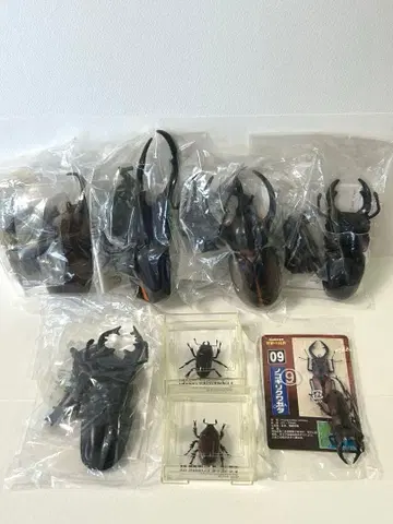 사슴벌레 장수풍뎅이 피규어 모형 8개 곤충의 숲