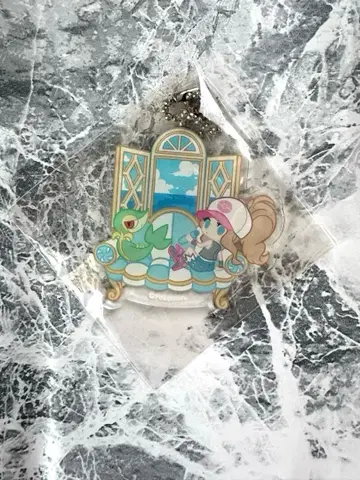 미개봉 포켓몬 센터 한정판 토우코&츠타쟈A 아크릴 참