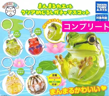 만마루쨩 개구리 클리어 메지루시 가챠 마스코트 [컴플리트]