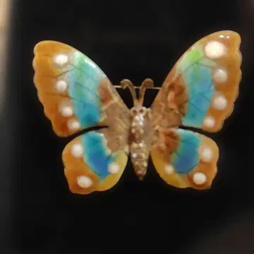 앤티크 빈티지 칠보 세공 나비 브로치