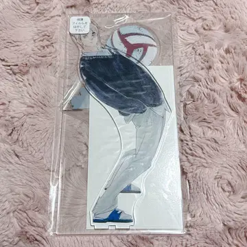 하이큐 아크릴 MEGA 피규어 아크릴 스탠드 미야 오사무 아크릴 스탠드