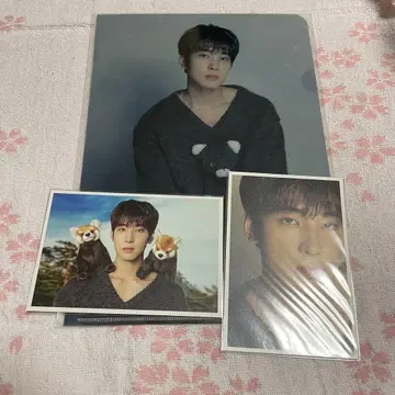 dfesta 원우 클리어 파일 엽서