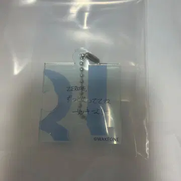 ZB1 제베원 퍼즐 리키 캡슐 토이 가챠