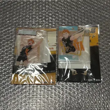 하이큐 아크릴 스탠드 히나타 쇼요 히나타 점프샵 2세트