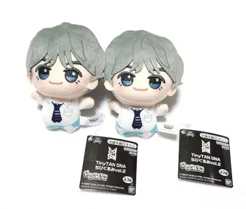 BTS TinyTAN 타이니탄 DNA V 태태 SD 인형 세트