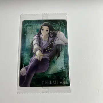 HUNTER x HUNTER 헌터헌터 이타쟈가 카드 이르미