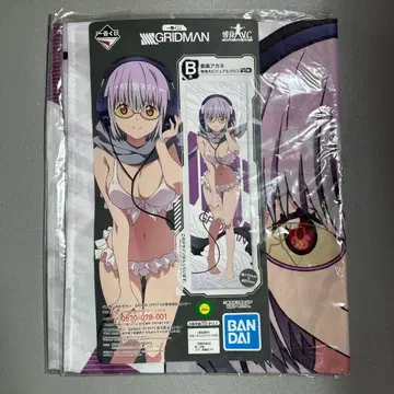 그리드맨 비주얼 크로스 신조 아카네