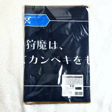 카리마 메이 텍스트 타월 복권 메모리 오브 검사 역전재판