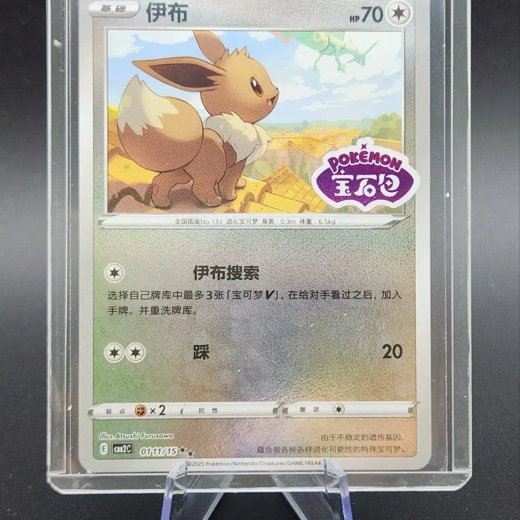 2021 rare pokemon cards Raichu - SWSH07: Evolving Skies [HOLO]