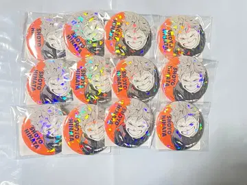 하이큐 히나타 쇼요 올스타 캔뱃지 12개