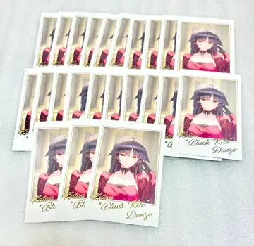 fgo 페스티벌 포트레이트 세트 카토 단조