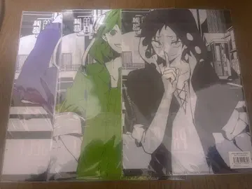 카게프로 클리어 파일 10장 세트