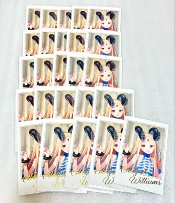 fgo 페스티벌 포트레이트 세트 아비게일