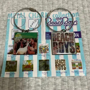 비치 보이즈 메탈 참 컬렉션 2개 PET SOUNDS