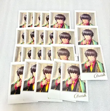 fgo 페스티벌 포트레이트 세트 아라쉬