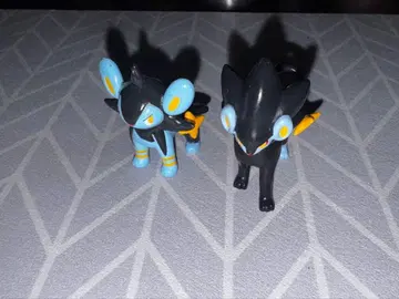 [구 몬코레] 몬코레 럭시오 렌트라 일괄