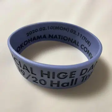 히게단 러버 밴드 요코하마 공연