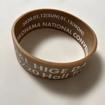 히게단 러버 밴드 요코하마 공연