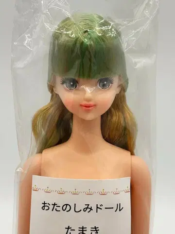 타마키 리카짱 캐슬 오타노시미 인형 금녹색 계열 뒤로 묶는 제니 프렌드