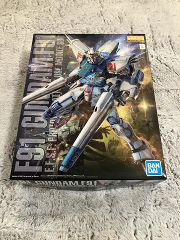 GUNDAM F91 1/100 프라모델