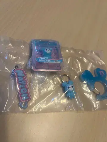 TWICE (나연) 카라비너 등