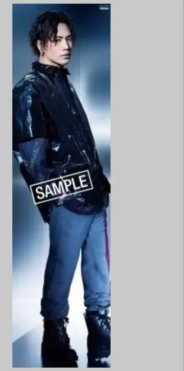 등신대 포스터 토사카 히로오미